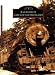 Book Railroads of Cape Cod and the Islands   (MA)  (Images  of  Rail)