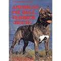American Pit Bull Terrier heute