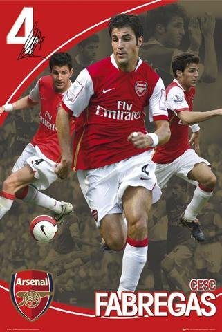 Posters: Soccer Poster - Arsenal, Cesc F&agrave;bregas 07/08 (36 x 24 inches)