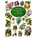Old-Time Fruits and Flowers Vignettes in Full Color (Dover Pictorial Archives)