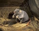 Folkmanis Puppet Rat
