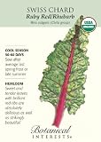 Ruby Red Rhubarb Heirloom Swiss Chard Seeds