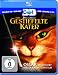 Cover:Der Gestiefelte Kater [3D Blu-ray]