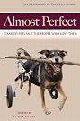 Almost Perfect: Disabled...