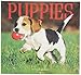 2016 Puppies Calendar - 16-Month Wall Calendar Planner
