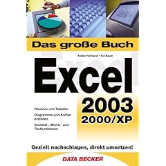 Das gro�e Buch Excel 2003. Auch f�r die Versionen 2000/XP