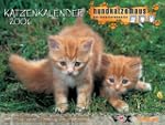 Hundkatzemaus Katzenkalender 2006 .