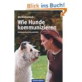 Wie Hunde kommunizieren: Hundesprache richtig verstehen