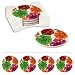 Floral Splash Absorbent Coasters - Set of 4 w/ Caddy