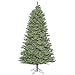 Vickerman Colorado Spruce Christmas Tree, A164076