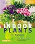 Indoor Plants for Beginners