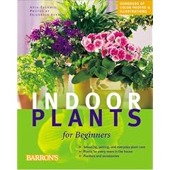 Indoor Plants for Beginners