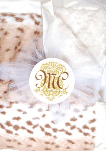 Sandra Minky Blanket Infant 30in x 36in photo