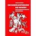 Die Dominanztheorie bei Hunden: Eine wissenschaftliche Betrachtung
