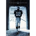 Indianapolis Colts (Peyton Manning in Doorway) Sports Poster Print - 22x34