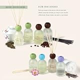 Review Gerson  / Aromatic Reed Coffee Diffuser - Cappuccino