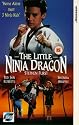 The Little Ninja Dragon [VHS]