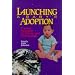 Launching a Baby's Adoption: Practical Strategies for Parents & Professionals
