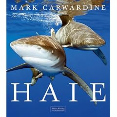Haie (Edition Naglschmid)