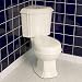 Regent Dual Flush Corner Toilet (Elongated Bowl / Chrome Flush Button on Lid / Biscuit)