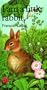 I Am a Little Rabbit (Little Animal Miniature)