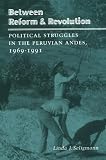 Between Reform and Revolution: Political Struggles in the Peruvian Andes, 1969-1991 (Program in Agrarian Studies)