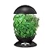 Miracle-Gro AeroGarden 3-Pod Indoor Garden with Gourmet Herb Seed Kit, Black
