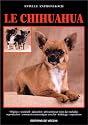 Le chihuahua