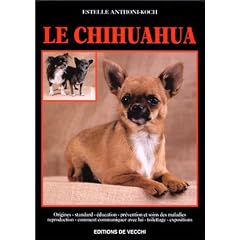 Le chihuahua