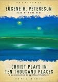 Christ Plays in Ten Thousand Places: A Conversation in Spiritual Theology
