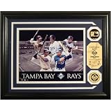 MLB Tampa Bay Rays Team Force 24KT Gold Coin Photo Mint