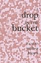A Drop in the Bucket