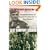 Easy Company Soldier: The Legendary Battles of a Sergeant from World War II's "Band of Brothers"