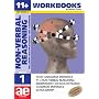 11+ Non-verbal Reasoning: Including Multiple Choice Test Technique: Workbook Bk. 1 (11+ Non-verbal Reasoning Workbooks for Children)
