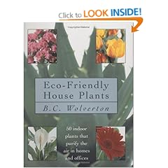 Eco-Friendly Houseplants: 50 Indoor Plants That Purify the Air