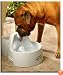 Drinkwell Big Dog Pet Fountain