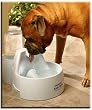 Drinkwell Big-Dog Pet Fountain