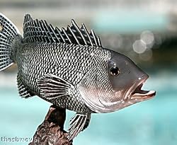 Taxidermy 14" Fiberglass Sea Bass Fish Statue