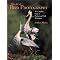 Get Started in Bird Photography