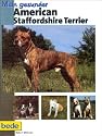 Mein gesunder American Staffordshire Terrier