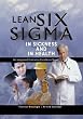 Lean Six Sigma in Sickness and in Health