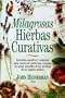 Milagrosas Hierbas Curativas (Spanish Edition)