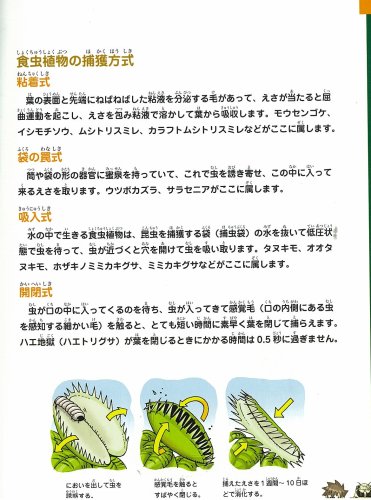 Cover image : 昆虫世界のサバイバル 2 (科学漫画サバイバルシリーズ)