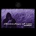 The Rain Within-Within