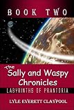 The Sally and Waspy Chronicles: Labyrinths of Prantoria: Book Two