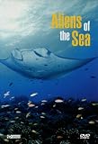 Eigenschaften VZ-Handelsgesellschaft  / Aliens of the Sea