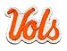 Tennessee Volunteers Patch University Vols Logo Premium Embroidered Iron on