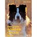 Das gro�e Border Collie Buch