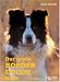 Das große Border Collie Buch Image of Das große Border Collie Buch
