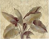 IMAGE OF E. Moroder - In the Greenhouse 1 Size 20x16 Finest LAMINATED Print E. Moroder 20x16
